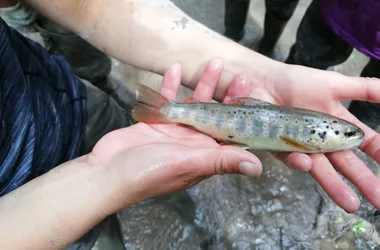 Fête de la Pêche à Barles