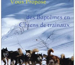 Chiens de traîneaux