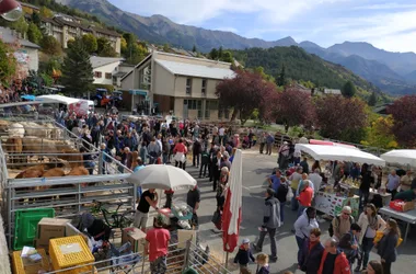 Foire aux bovins et aux chevaux