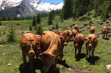 La Ferme de Bernardez