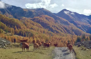 La Ferme de Bernardez