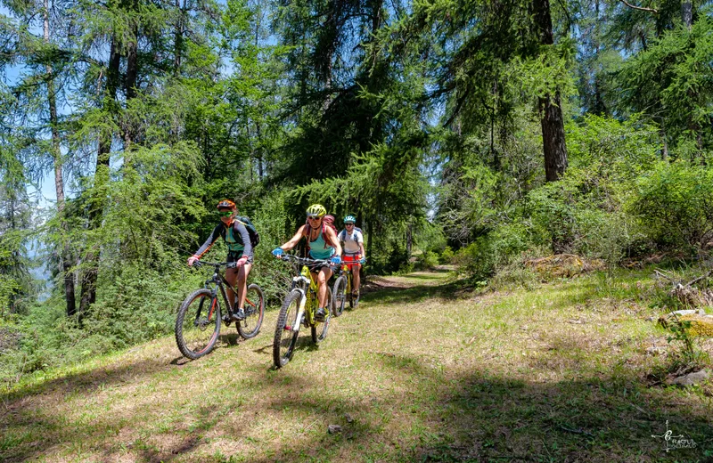 Sortie accompagnée “E-bike dégustation”