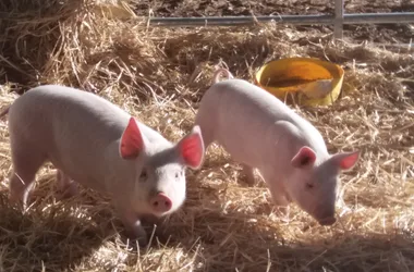 La Ferme des Montclarines