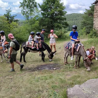 Balade de Montclar à La Bréole avec Tis’ânes