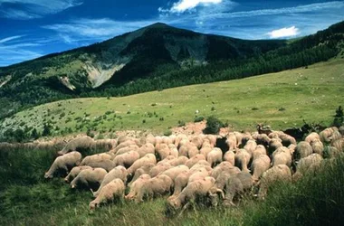 Massif des Monges