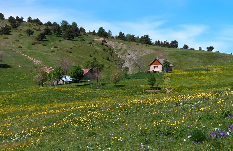 Le tour des montagnes d'Auzet n°42