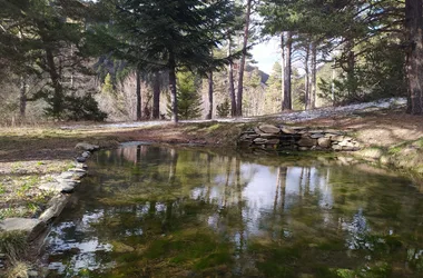 Jean Médou (Arboretum du Cubertin) n°20 – Facile – 7km – 3h