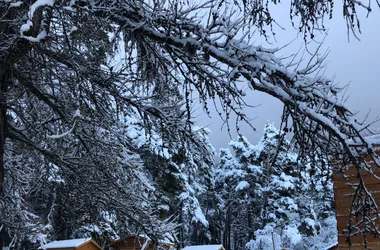 Les Bains des Bois