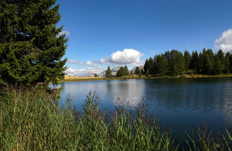 Les Lacs du Col Bas et Batterie de Dormillouse n°40b – Moyen – 4km – 1h