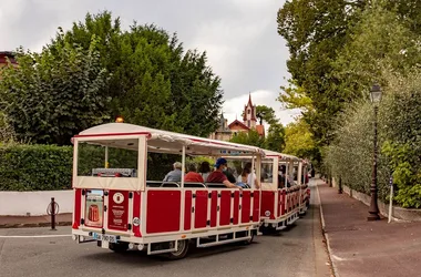 Visite Guidée : Le Petit Train / La Panoramique