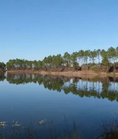 Etang de Surgenne