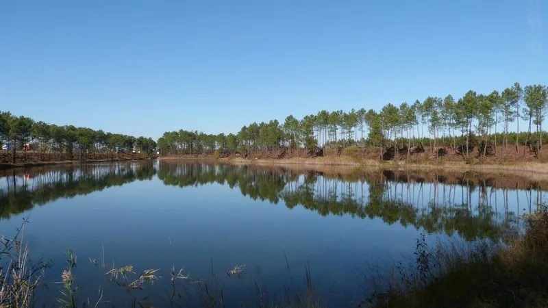 Etang de Surgenne