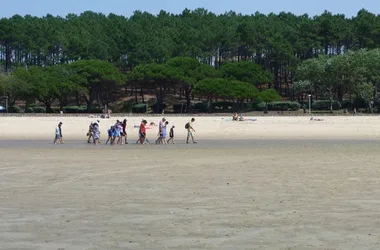 Visite guidée : La vie secrète du banc de sable de Pereire