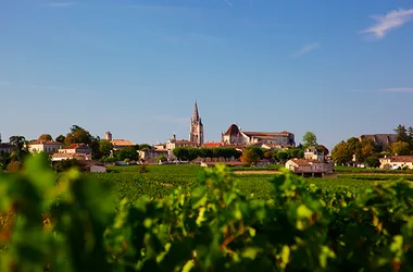 Atelier dégustation verticale sur 3 vins