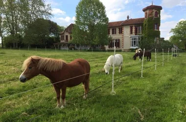 Poney-Club du Château Perron