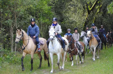 Haras de Silver