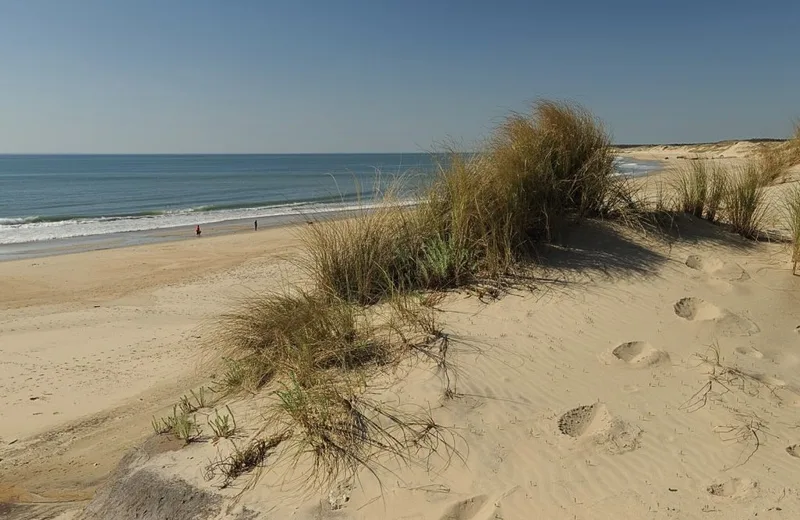 Plages Euronat (Dépée Centre et Sud) surveillées