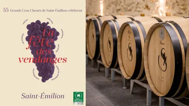 Atelier dégustation verticale sur 3 vins