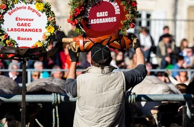 Fête des Boeufs Gras de Bazas