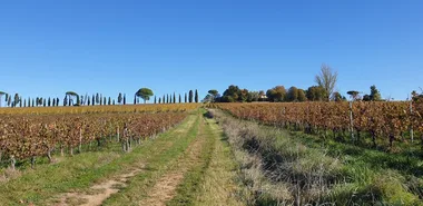 Malagar autrement – Entre les vignes, Mauriac et Toulouse-Lautrec