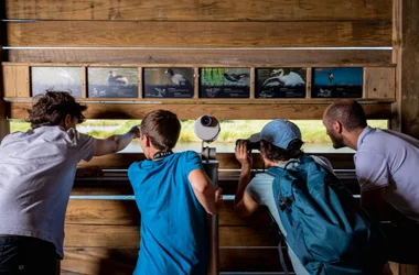 Parc ornithologique “Terres d’Oiseaux”