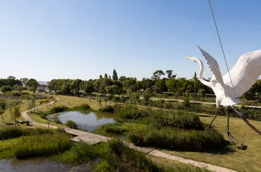 Parc ornithologique “Terres d’Oiseaux”