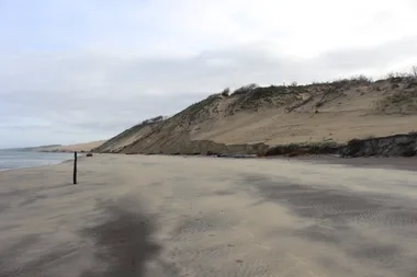 Sortie naturaliste L’érosion et les habitats dunaires