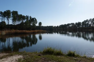 Etang de Surgenne