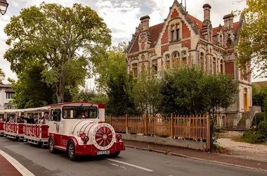 Visite Guidée : Le Petit Train / La Panoramique