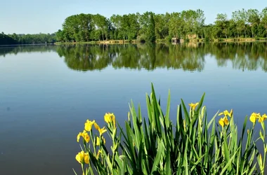 Lac de la Prade