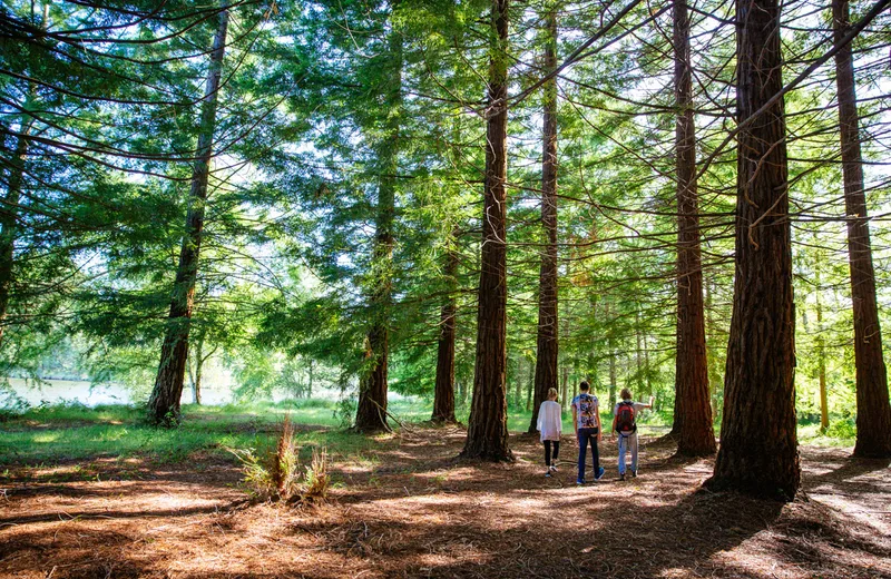 Domaine Départemental Gérard Lagors : ouvert partiellement