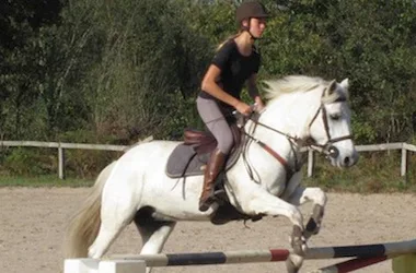 Centre Equestre de Périgueys