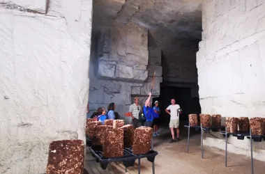 Portes ouvertes Fronsac – Canon Fronsac – la balade des carrières