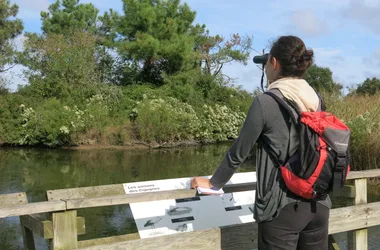 Visite de la réserve ornithologique et de son delta à pied et en canoë