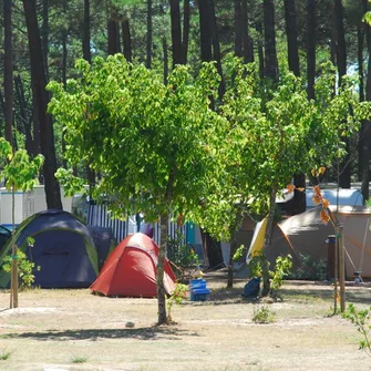Camping municipal Les Oyats