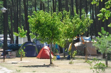 Camping municipal Les Oyats
