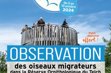 Journées Européennes des Oiseaux Migrateurs à la Réserve Ornithologique du Teich