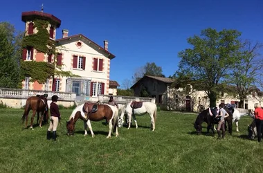 Poney-Club du Château Perron