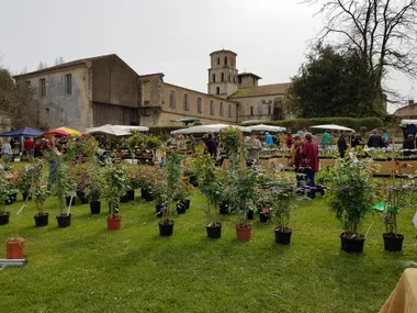 Foire aux plantes “La Passiflore” : plantes et papiers