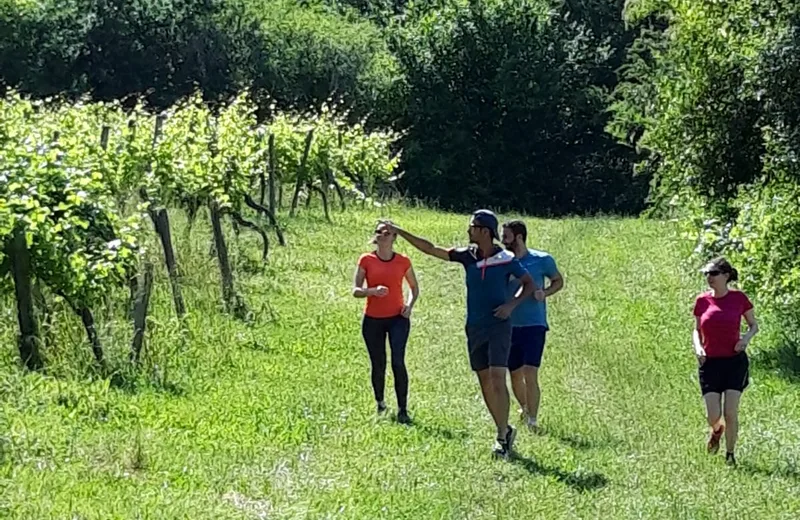 Run into the wine : Château Haute Brande