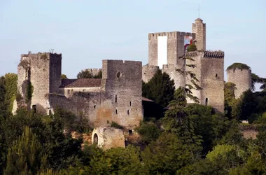 Château de Roquetaillade