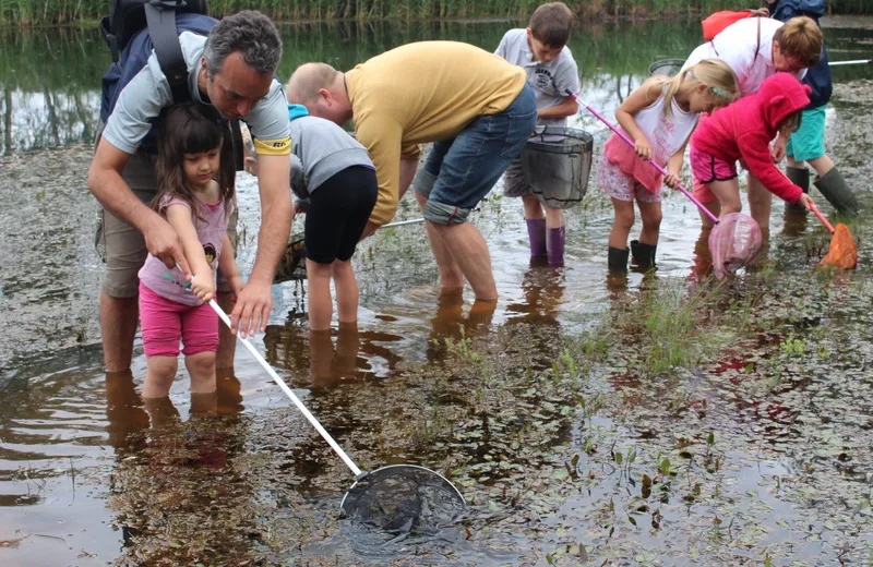 Petite pêche en mare