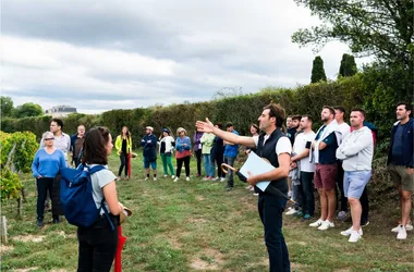 Fête des Vendanges 2024