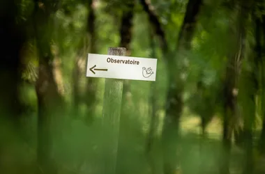 Parc ornithologique “Terres d’Oiseaux”