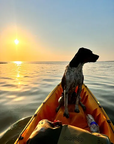 Kayak sur le Bassin