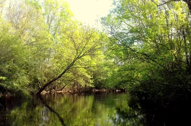 Medoc Explorer Canoë