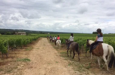 Poney-Club du Château Perron