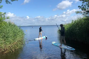 Stand’Up Paddle school – Evolution 2 Lacanau