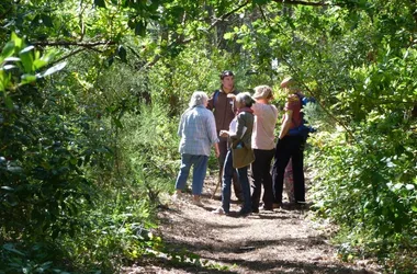 Visite Guidée : Forêt Dunaire de Camicas