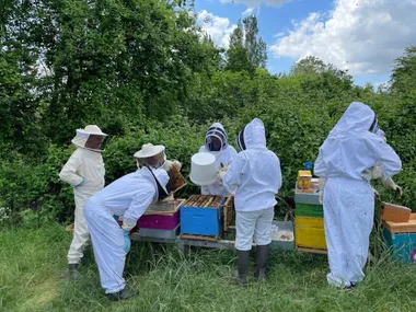 J’apprends l’apiculture avec l’Abeille Cubzaguaise